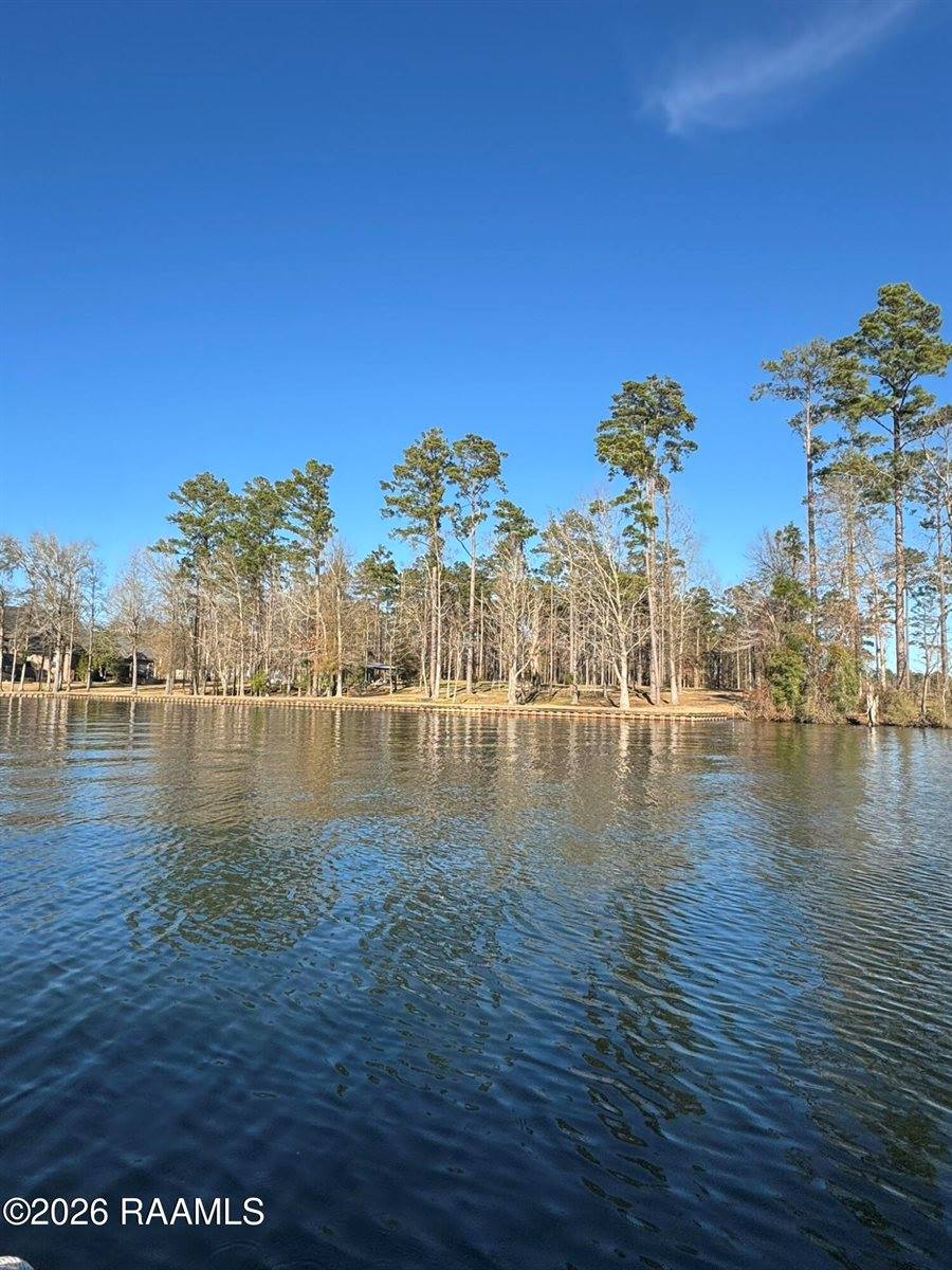 Tbd Ramsey Road, Chatham, LA 71226