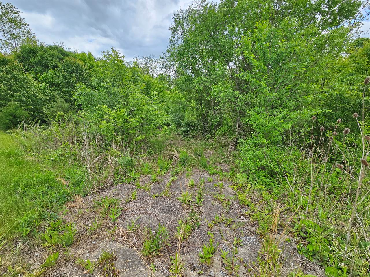 TBD Fordtown Rd, Jonesborough, TN 37659