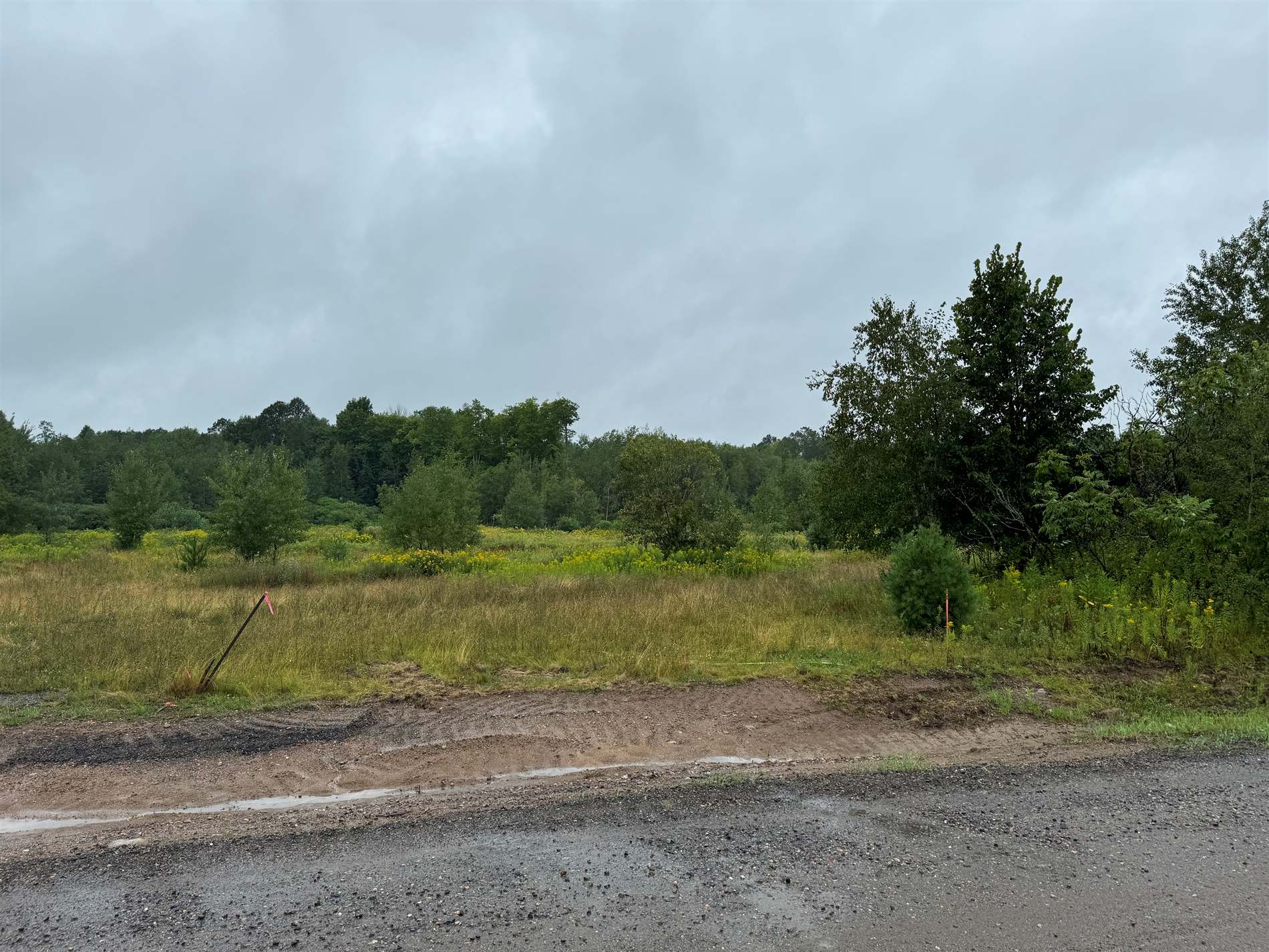 Lot 8 & 9 Taylor Drive, Rhinelander, WI 54501