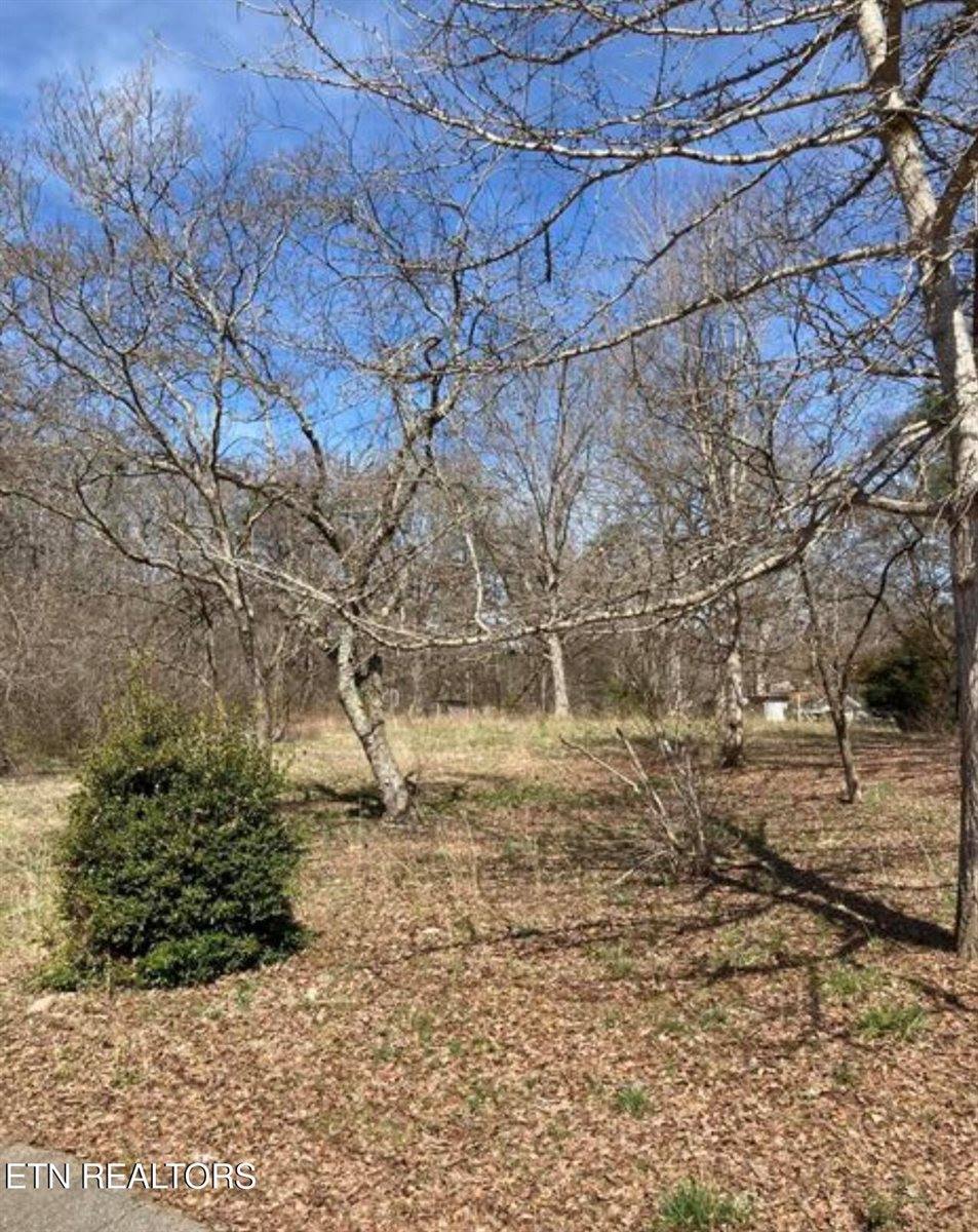 8813 Ball Camp Pike, Knoxville, TN 37931