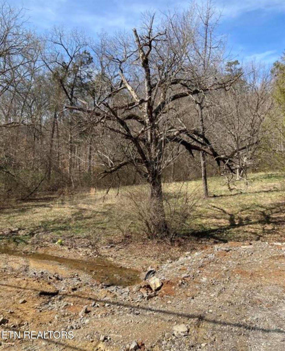 8813 Ball Camp Pike, Knoxville, TN 37931