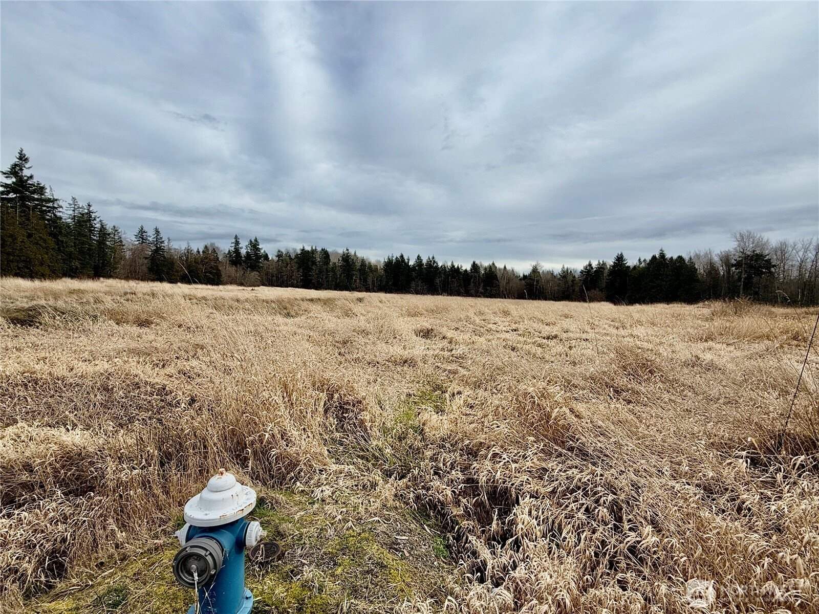 0 Blaine Road, Blaine, WA 98230