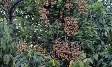 2874 Indianwood Drive, Sarasota, FL 34232