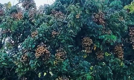 2874 Indianwood Drive, Sarasota, FL 34232