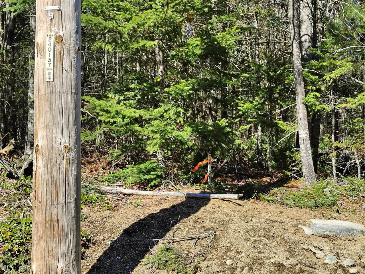49 Glacier Lane, Northfield, ME 04654