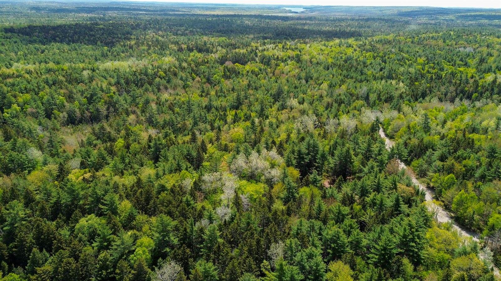 49 Glacier Lane, Northfield, ME 04654