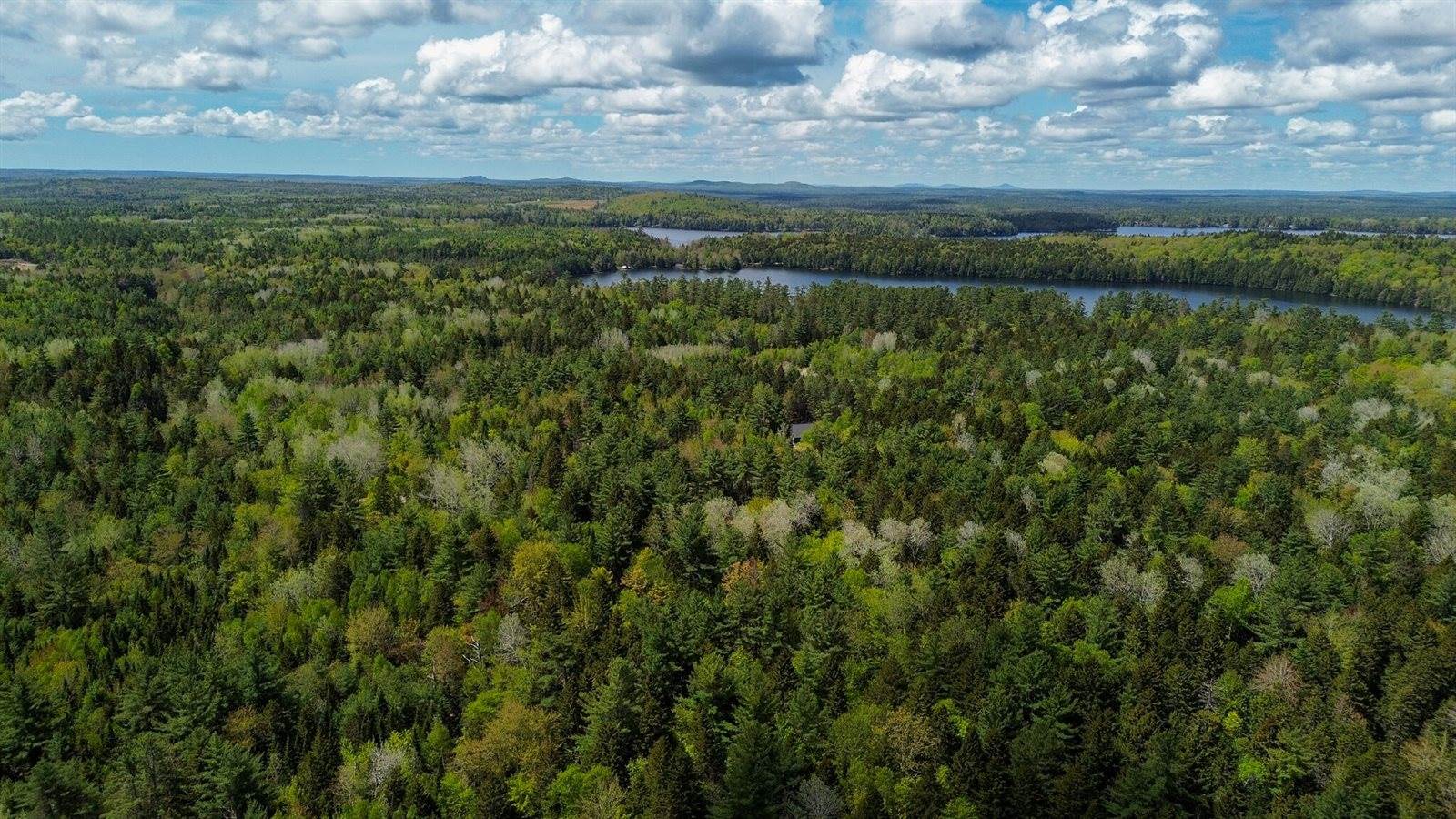 49 Glacier Lane, Northfield, ME 04654