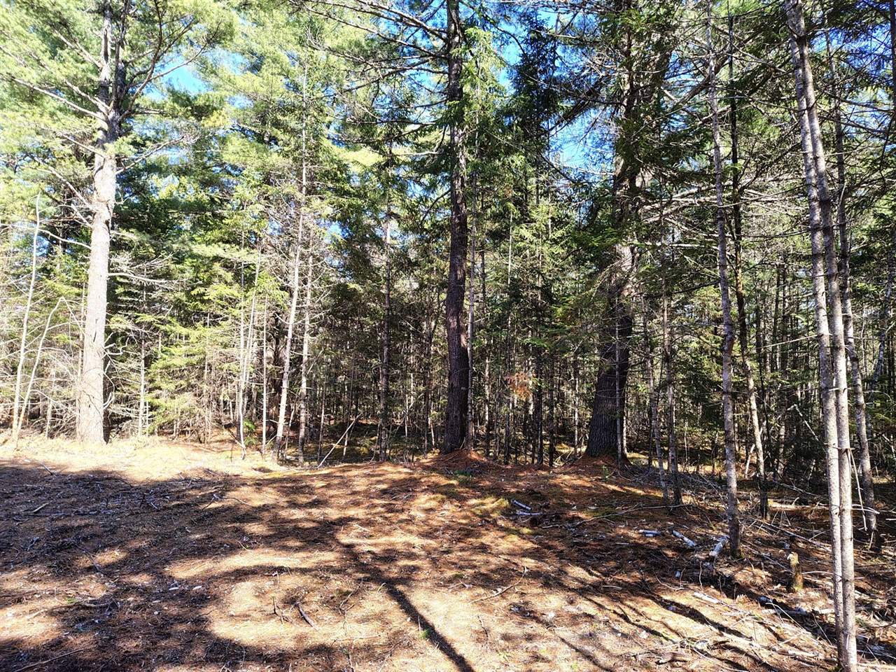 49 Glacier Lane, Northfield, ME 04654