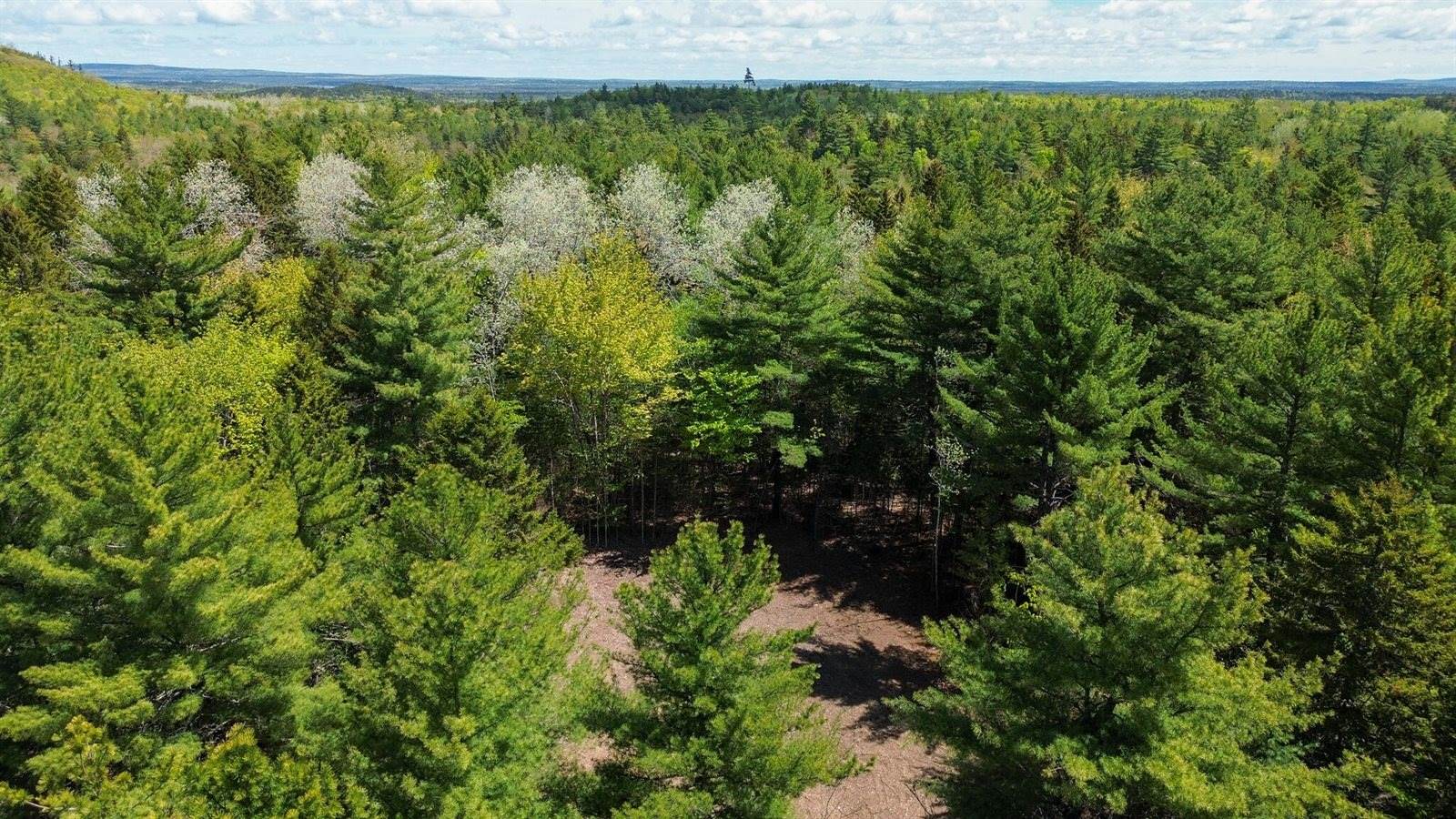 49 Glacier Lane, Northfield, ME 04654