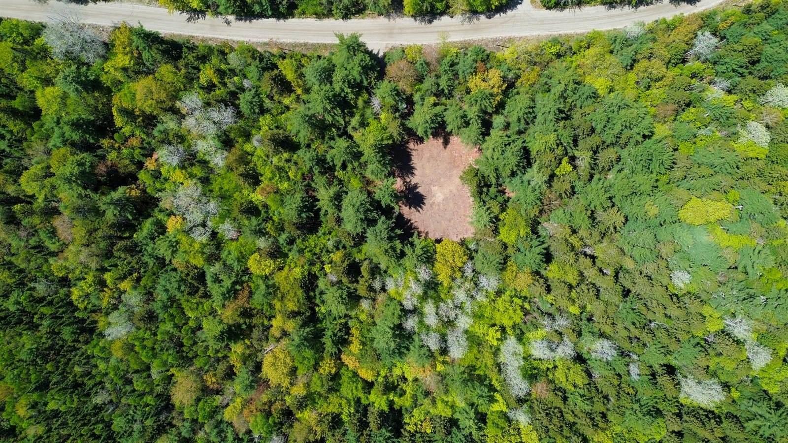49 Glacier Lane, Northfield, ME 04654