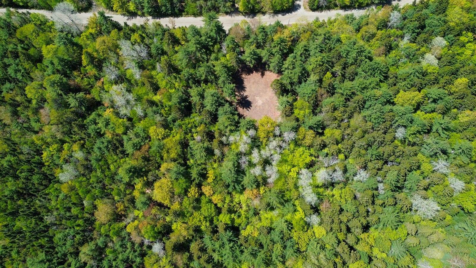 49 Glacier Lane, Northfield, ME 04654