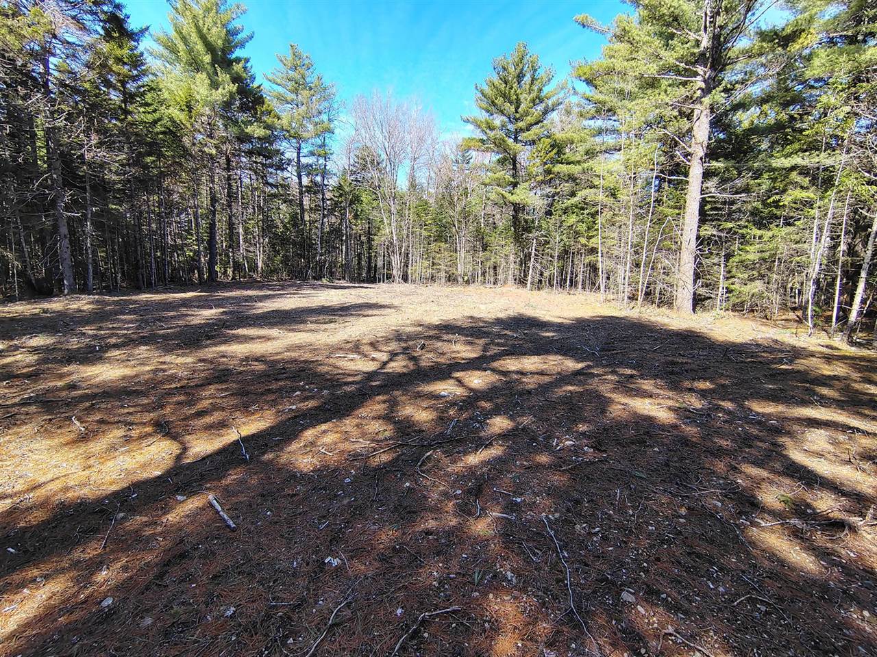 49 Glacier Lane, Northfield, ME 04654