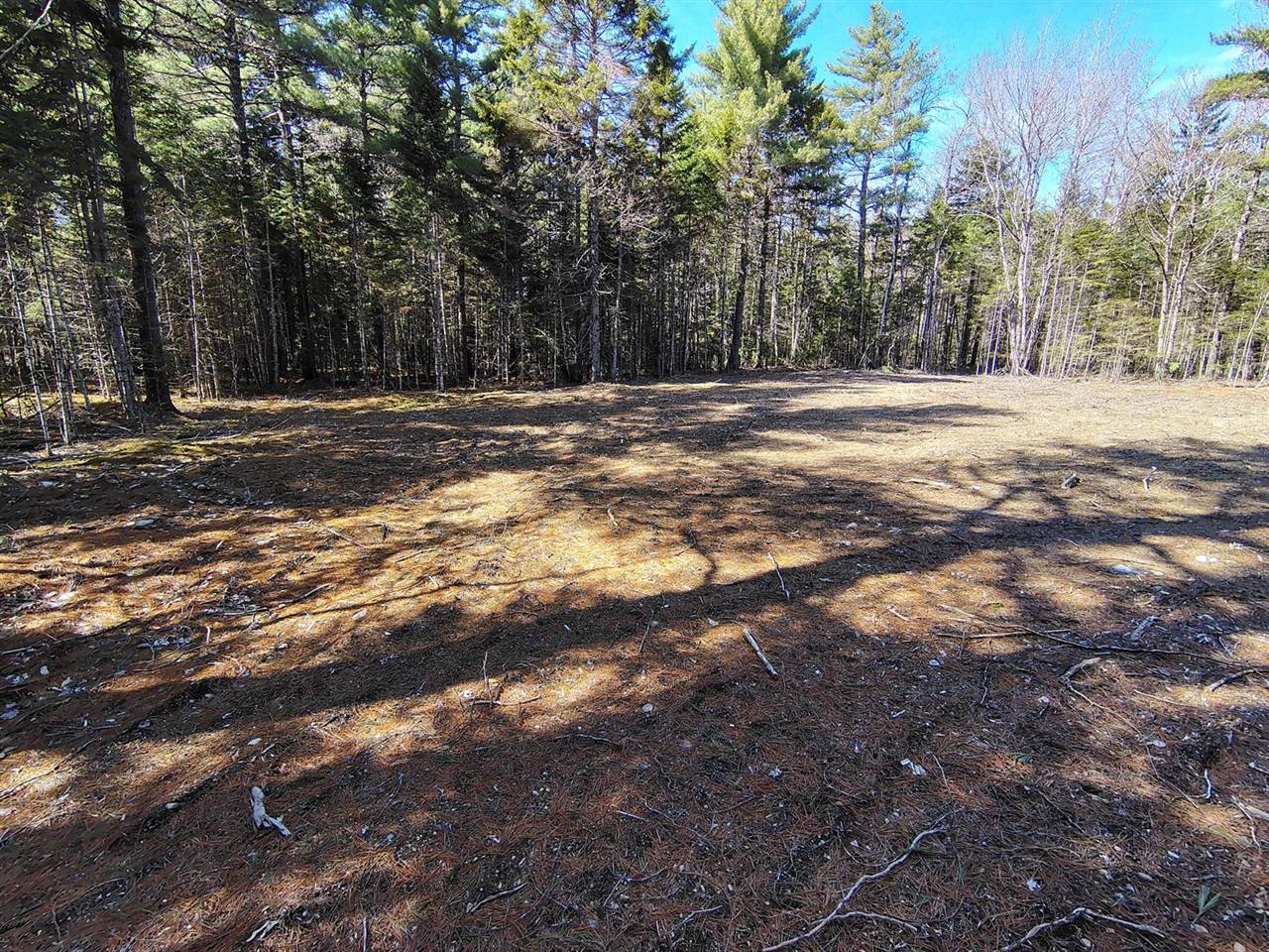 49 Glacier Lane, Northfield, ME 04654
