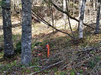 49 Glacier Lane, Northfield, ME 04654