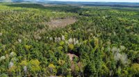 49 Glacier Lane, Northfield, ME 04654