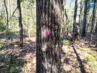 49 Glacier Lane, Northfield, ME 04654