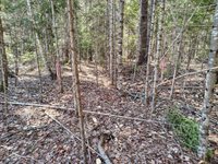 49 Glacier Lane, Northfield, ME 04654
