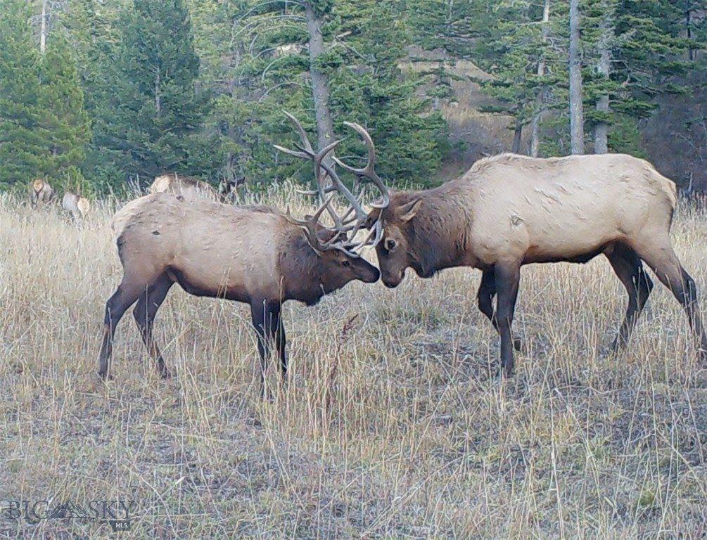 770 Mountain Moose Road, Bozeman, MT 59715