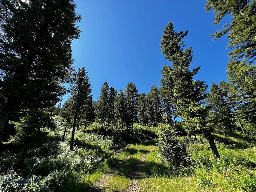 770 Mountain Moose Road, Bozeman, MT 59715