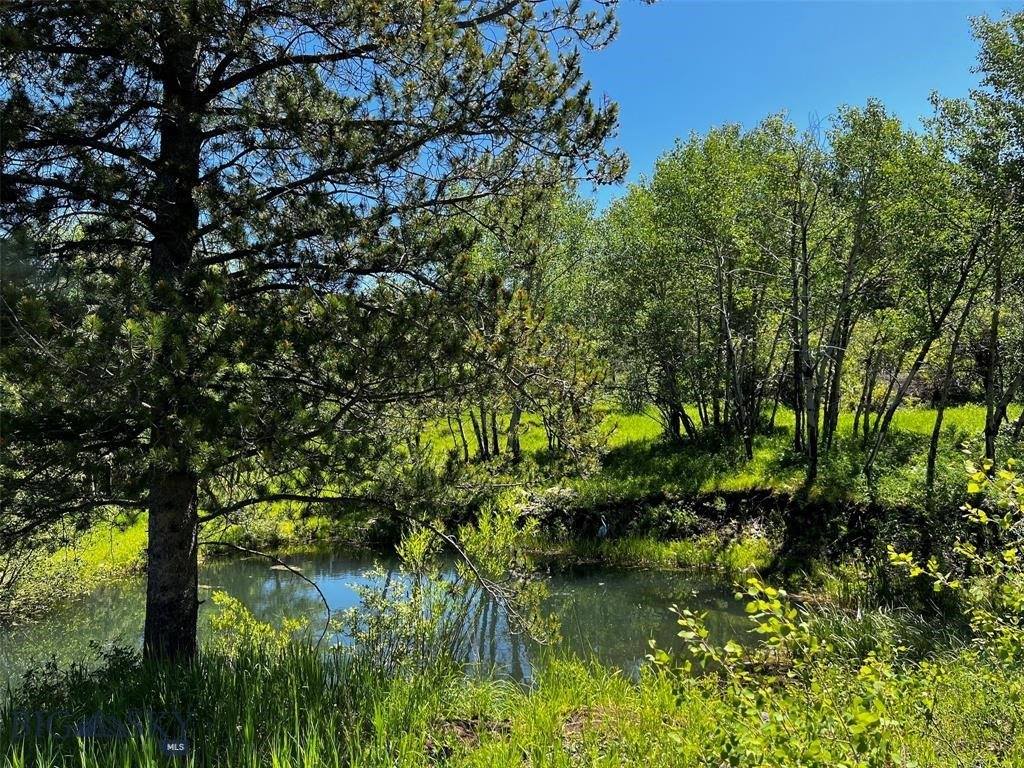 770 Mountain Moose Road, Bozeman, MT 59715