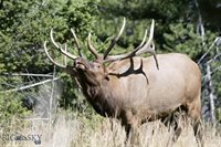 770 Mountain Moose Road, Bozeman, MT 59715