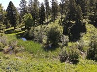 770 Mountain Moose Road, Bozeman, MT 59715