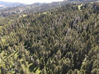 770 Mountain Moose Road, Bozeman, MT 59715