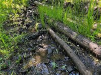 770 Mountain Moose Road, Bozeman, MT 59715