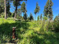 770 Mountain Moose Road, Bozeman, MT 59715