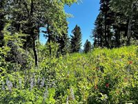 770 Mountain Moose Road, Bozeman, MT 59715