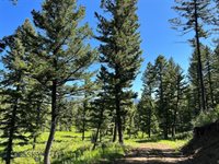 770 Mountain Moose Road, Bozeman, MT 59715