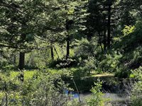 770 Mountain Moose Road, Bozeman, MT 59715