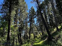 770 Mountain Moose Road, Bozeman, MT 59715