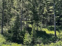 770 Mountain Moose Road, Bozeman, MT 59715