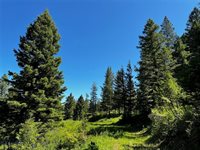 770 Mountain Moose Road, Bozeman, MT 59715