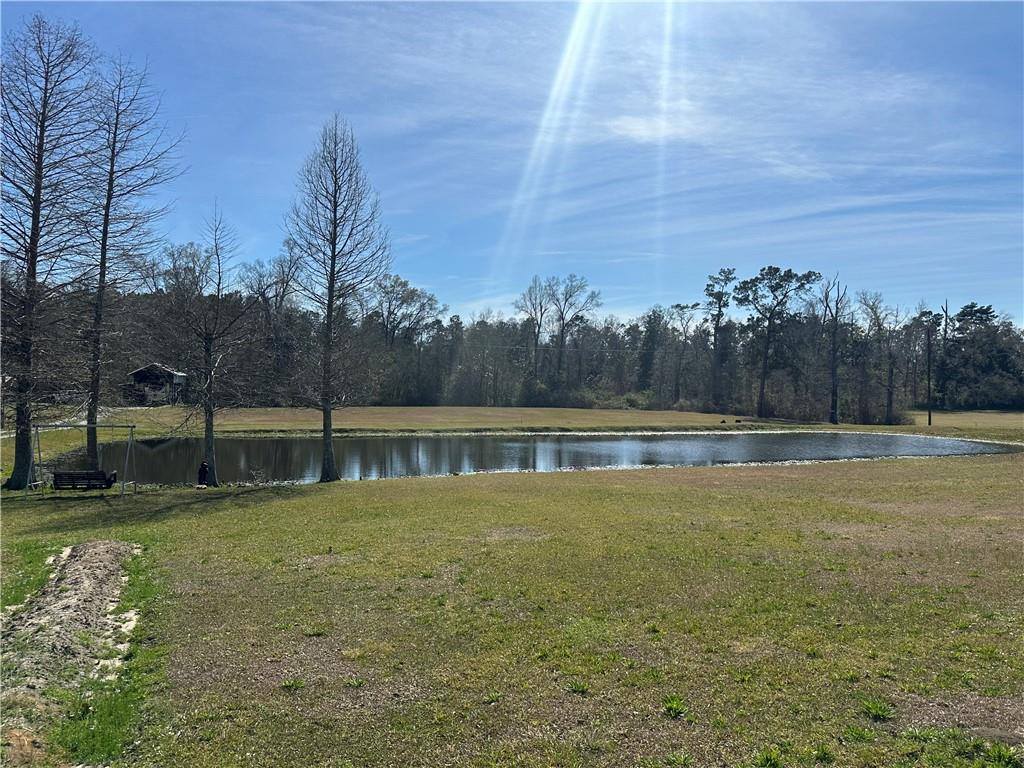 29752 Clinton Threeton Dr, Albany, LA 70711