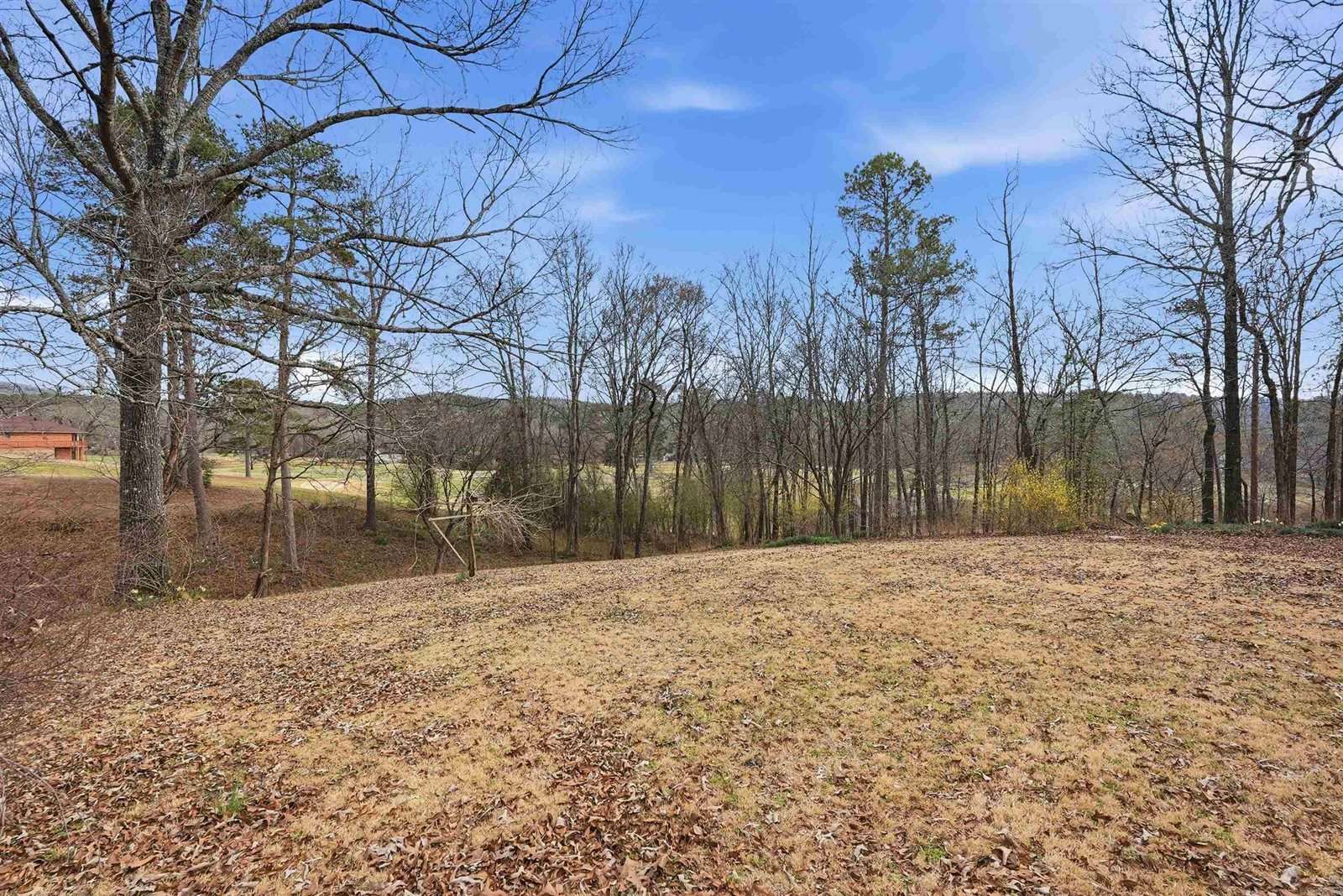 110 Fairway Ct, Hot Springs, AR 71913