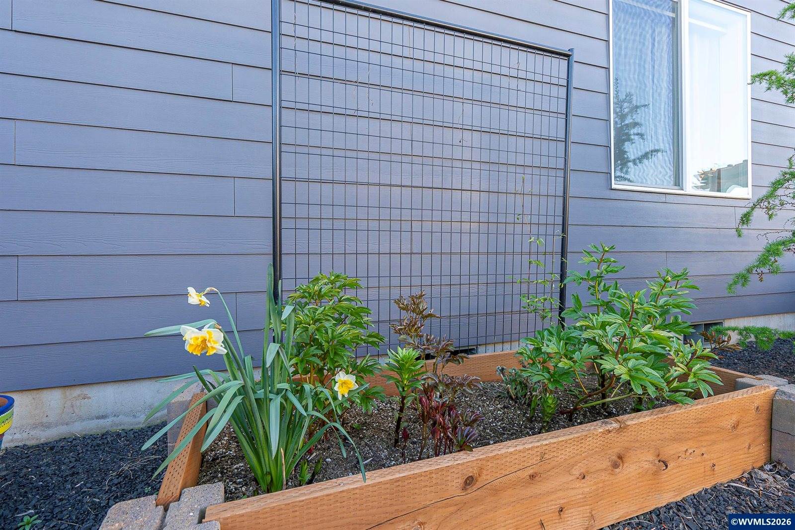 2926 Canter Av, Albany, OR 97321