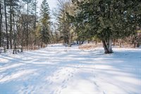 2204 Black River Road, Neillsville, WI 54456