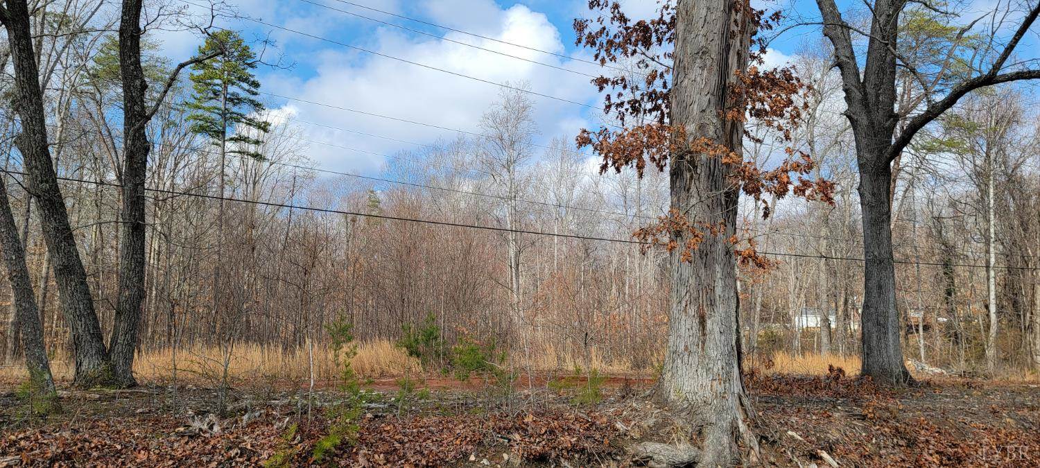 0 Riverview Road, Madison Heights, VA 24572