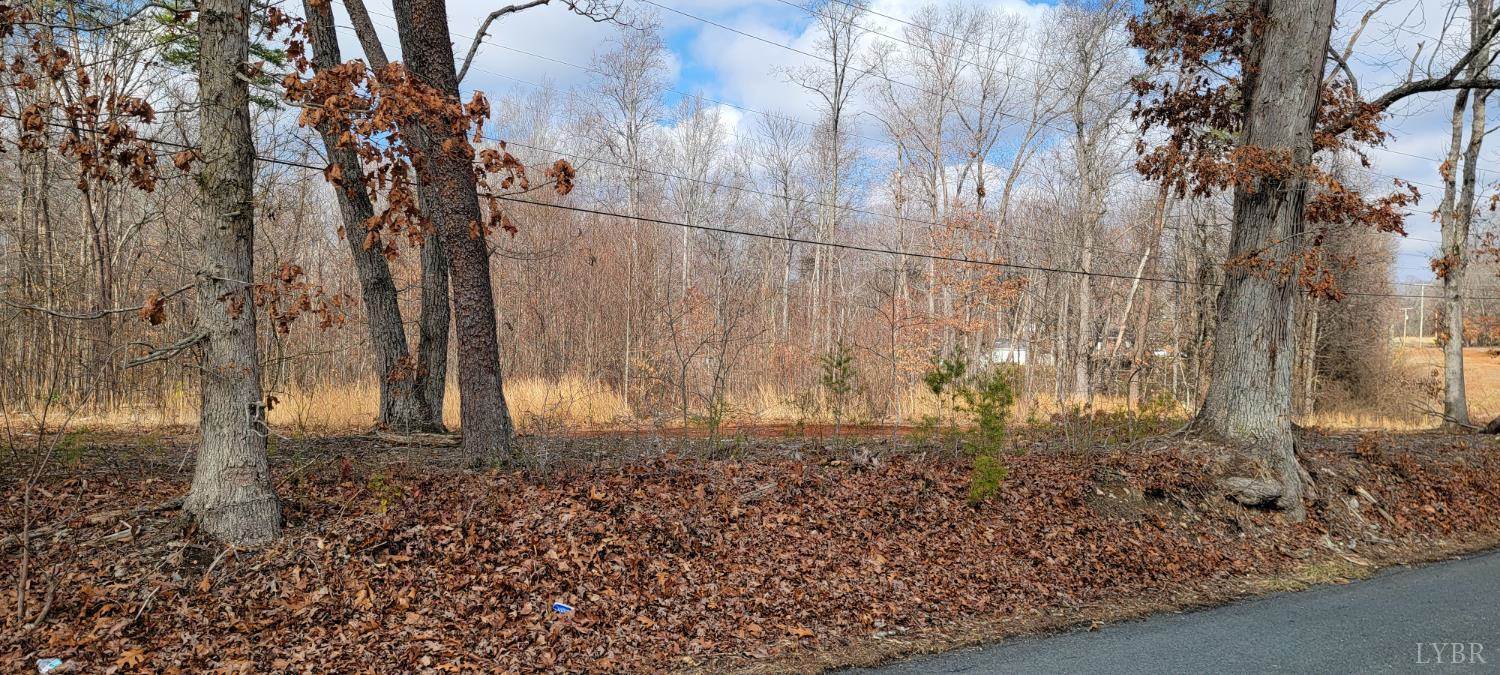 0 Riverview Road, Madison Heights, VA 24572