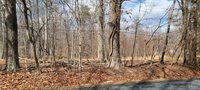 0 Riverview Road, Madison Heights, VA 24572