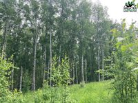 966 Chad Street, Fairbanks, AK 99709