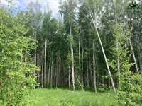 966 Chad Street, Fairbanks, AK 99709