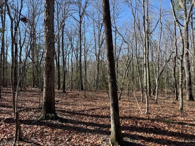 0 Thayer Road, Troy, NC 27371