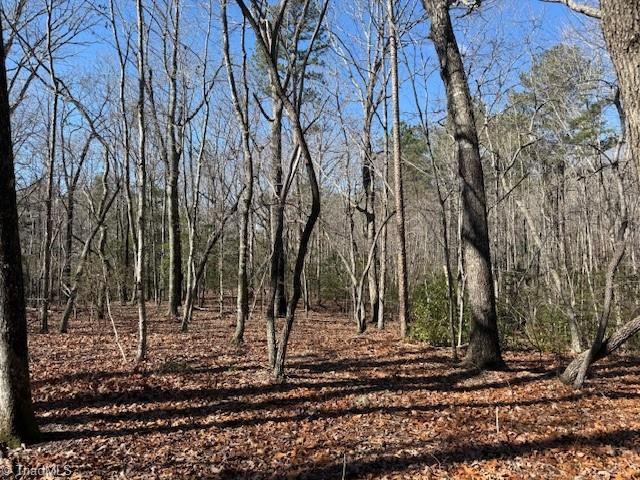 0 Thayer Road, Troy, NC 27371