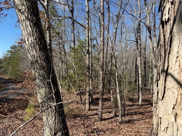 0 Thayer Road, Troy, NC 27371