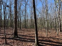 0 Thayer Road, Troy, NC 27371