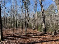 0 Thayer Road, Troy, NC 27371