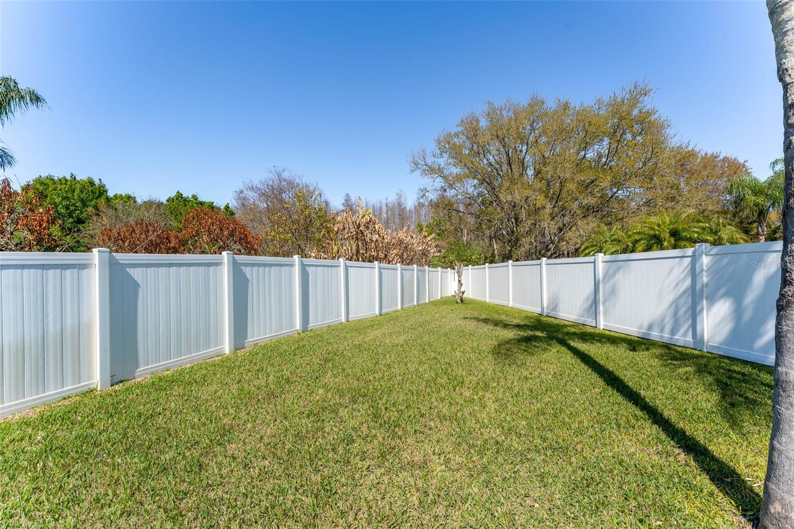 4511 Gulfwinds Drive, Lutz, FL 33558